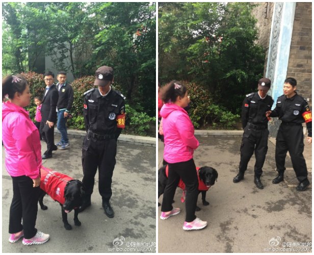 Chen is denied access to a public park in Nanjing for having her service dog with her.
