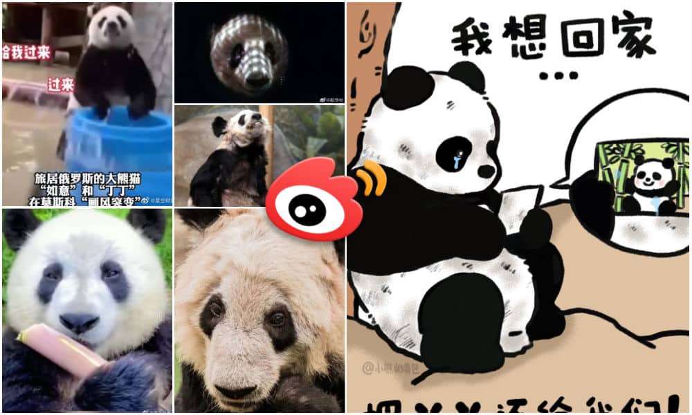 Pandas, Share Some Among Us Memes (Closed)
